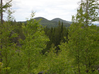 maisemia-Kolilta-kuva